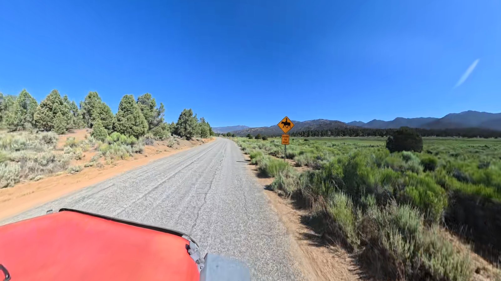 Drive2.jpg