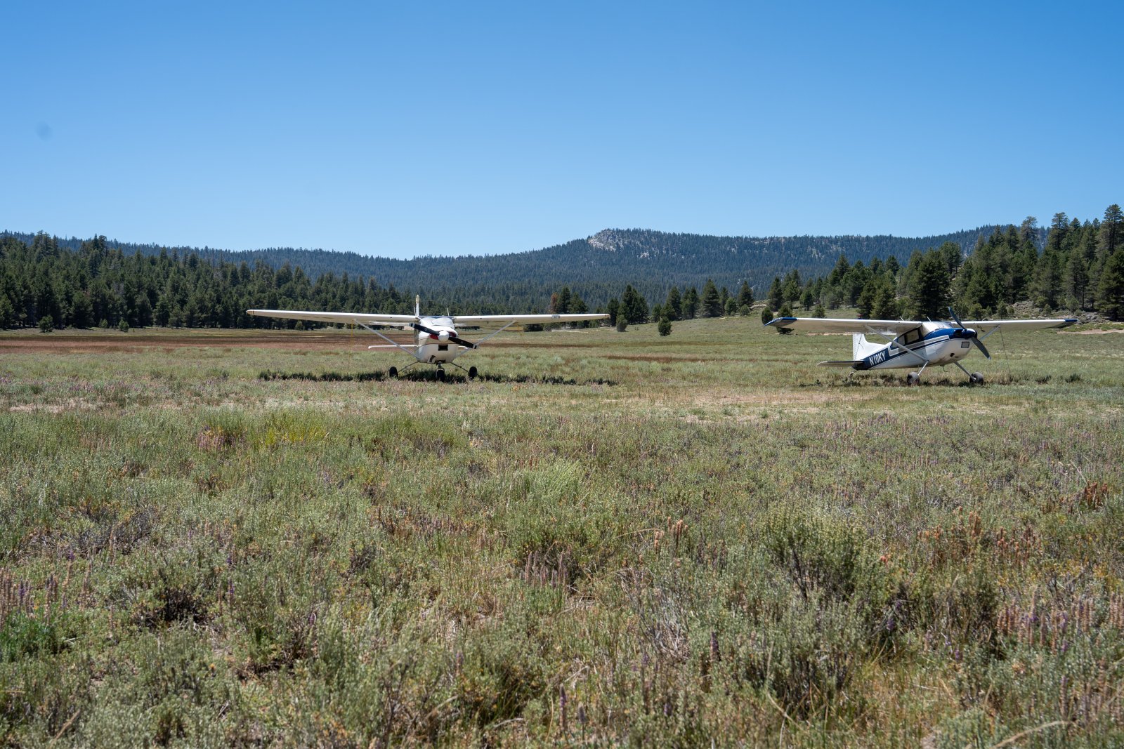 Monache Meadows Airplanes