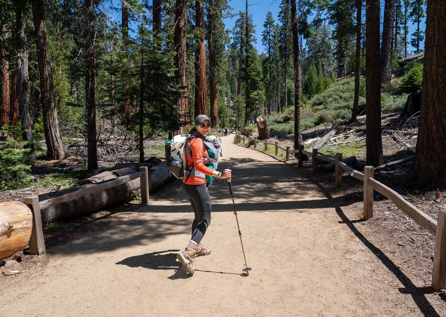 Mariposa Grove Yosemite National Park Trail Guide
