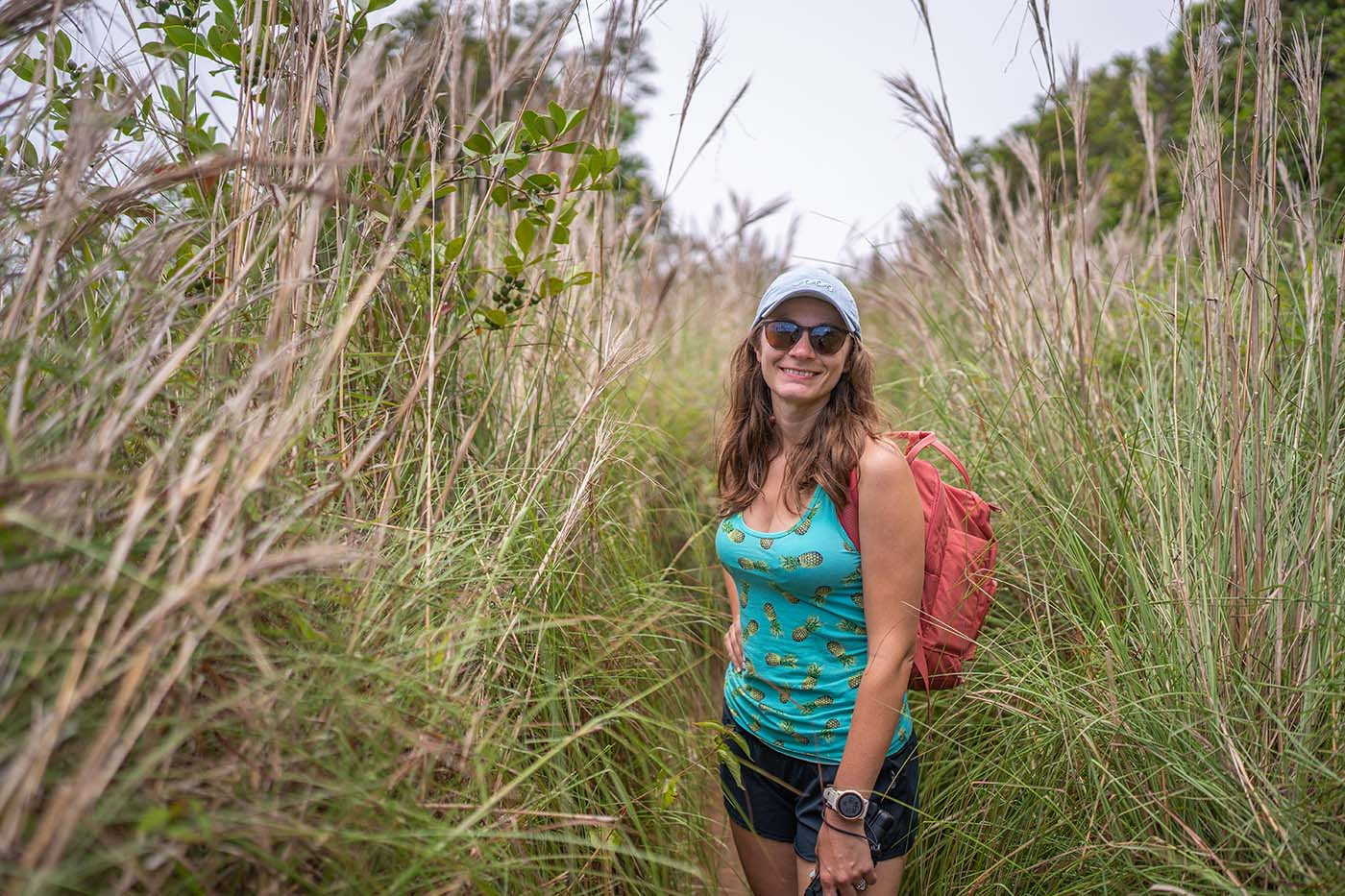 awaawapuhi-trail-wheat-field.jpg Hiker standing among tall grasses near the end of the Awaawapuhi Trail