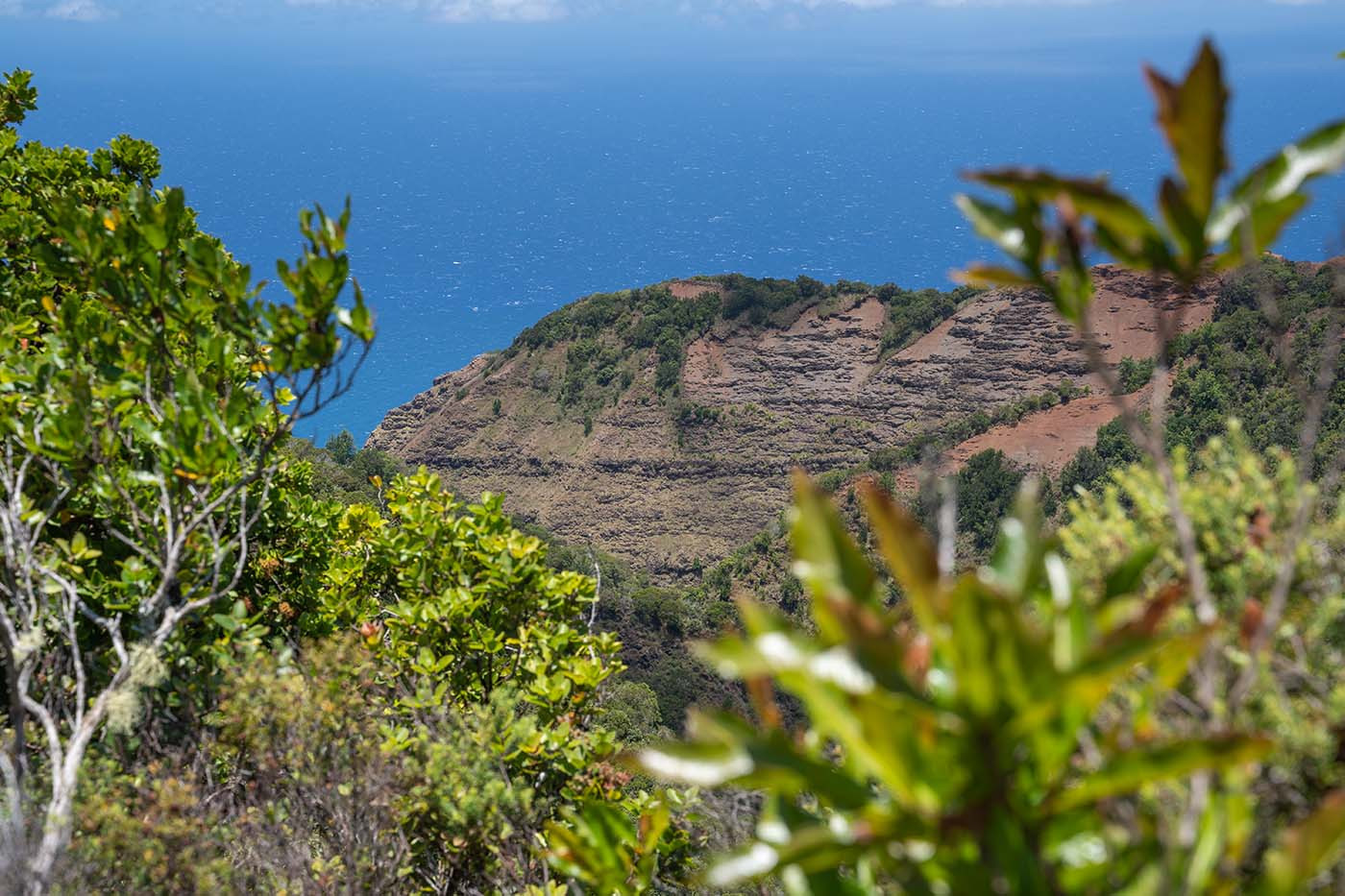 awaawapuhi-trail-ocean-view.jpg Layered red ridge and blue ocean framed by trail vegetation