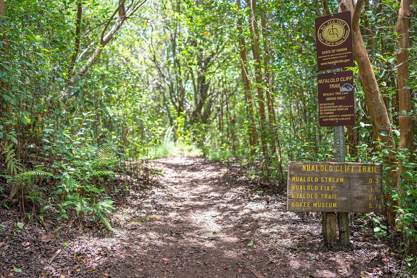 nualolo-cliff-trail-sign.jpg Nualolo Cliff Trail junction signs in the Kauai forest