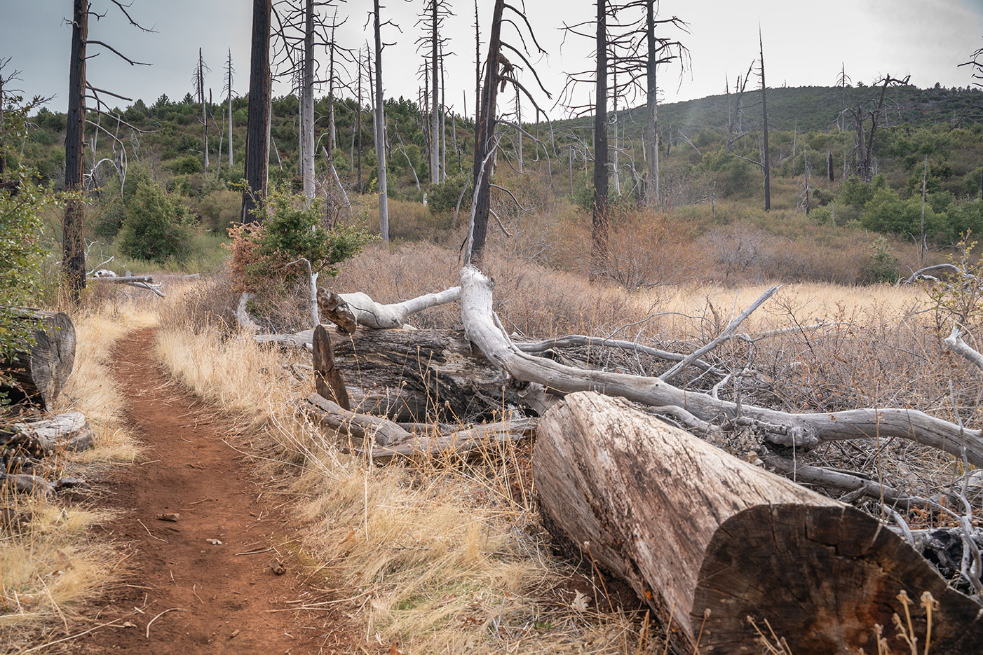 azalea-glen-loop-trail-2.jpg