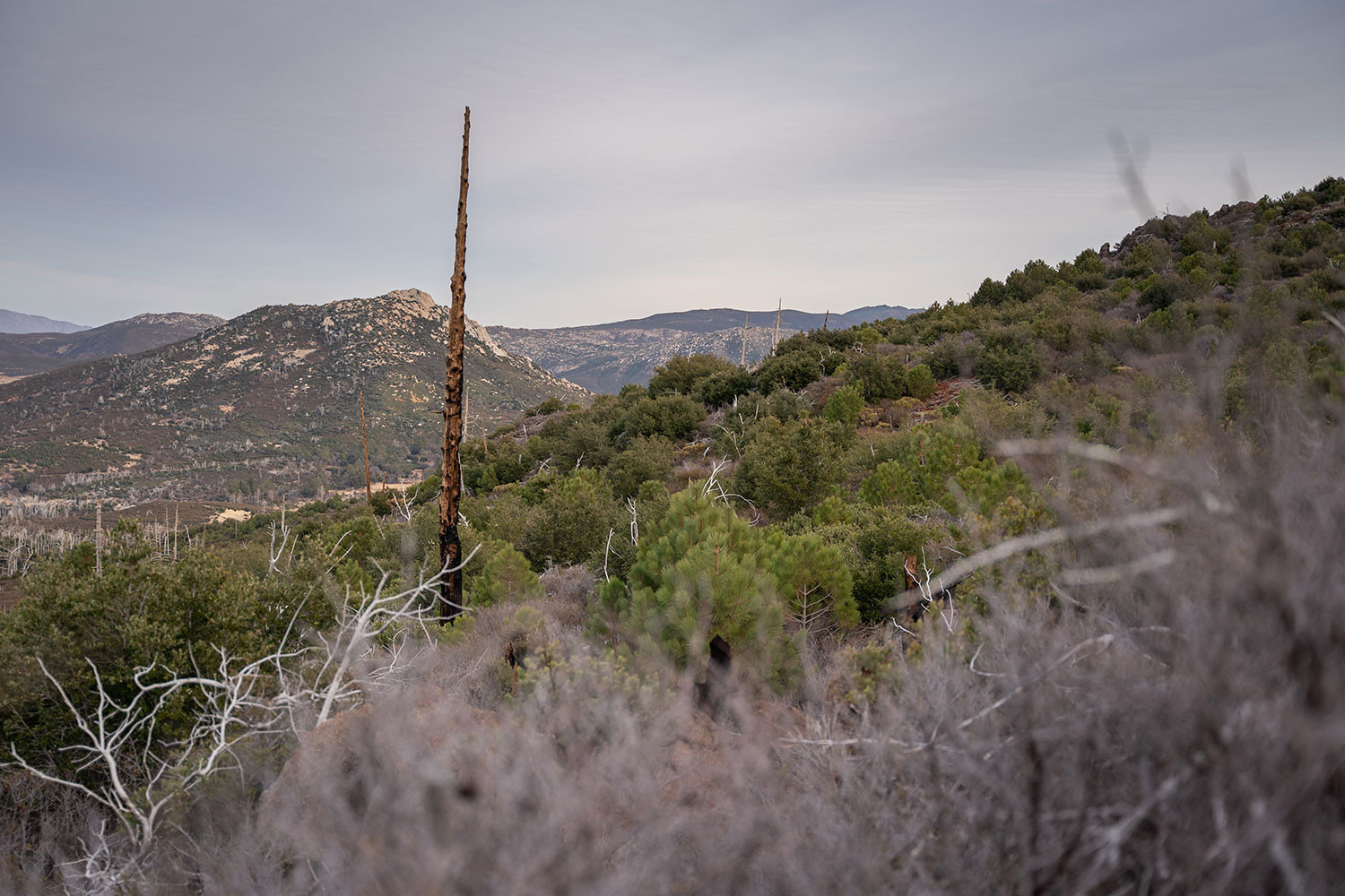 conejos-trail-views.jpg