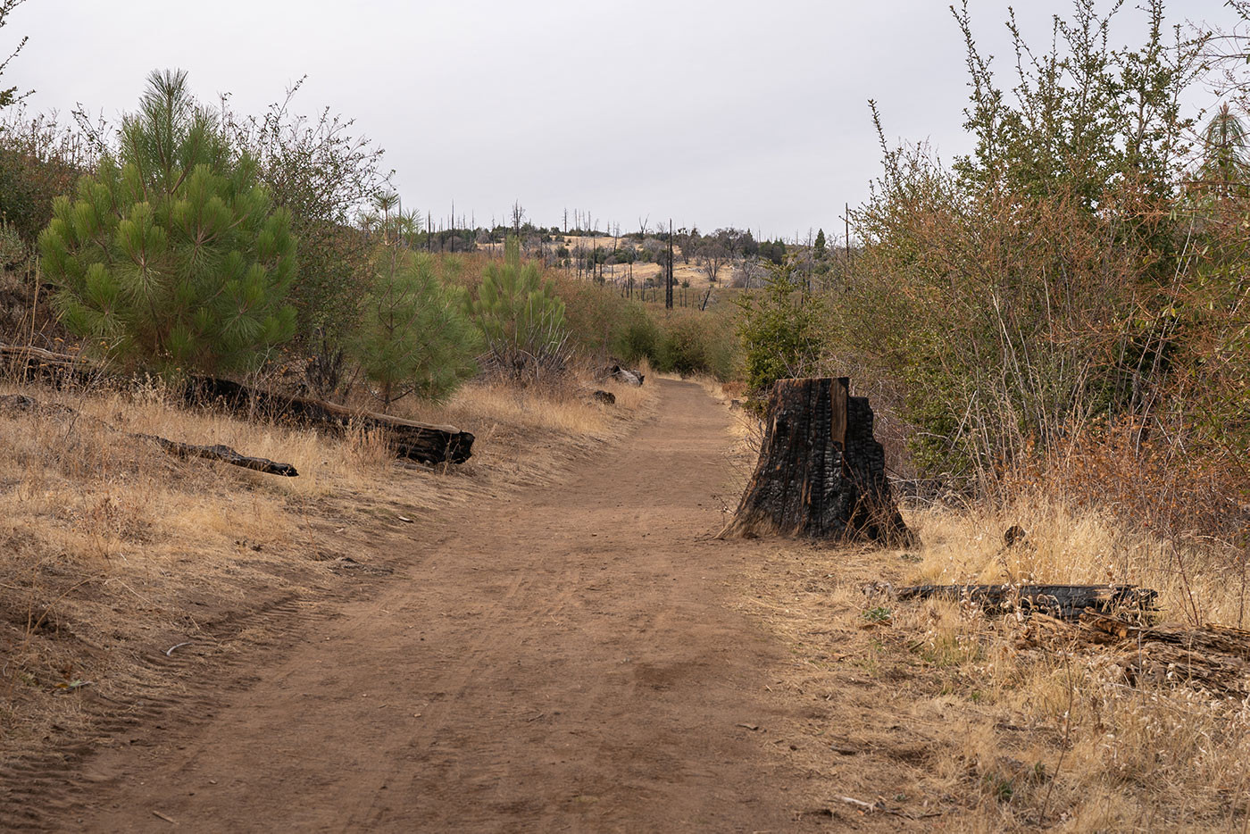 cuyamaca-trail-view.jpg