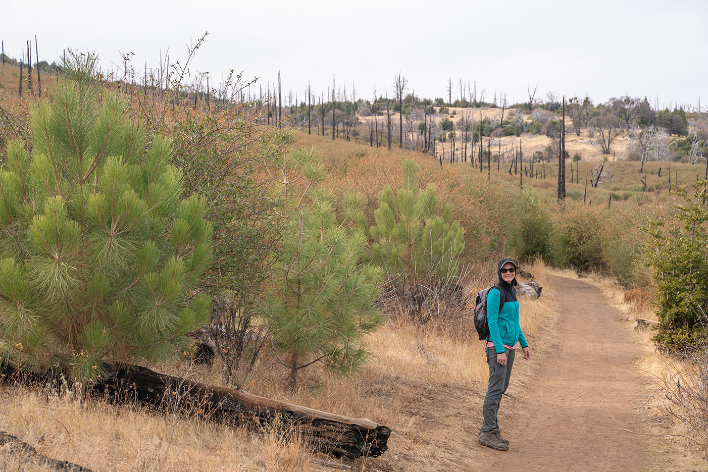cuyamaca-trail-2.jpg