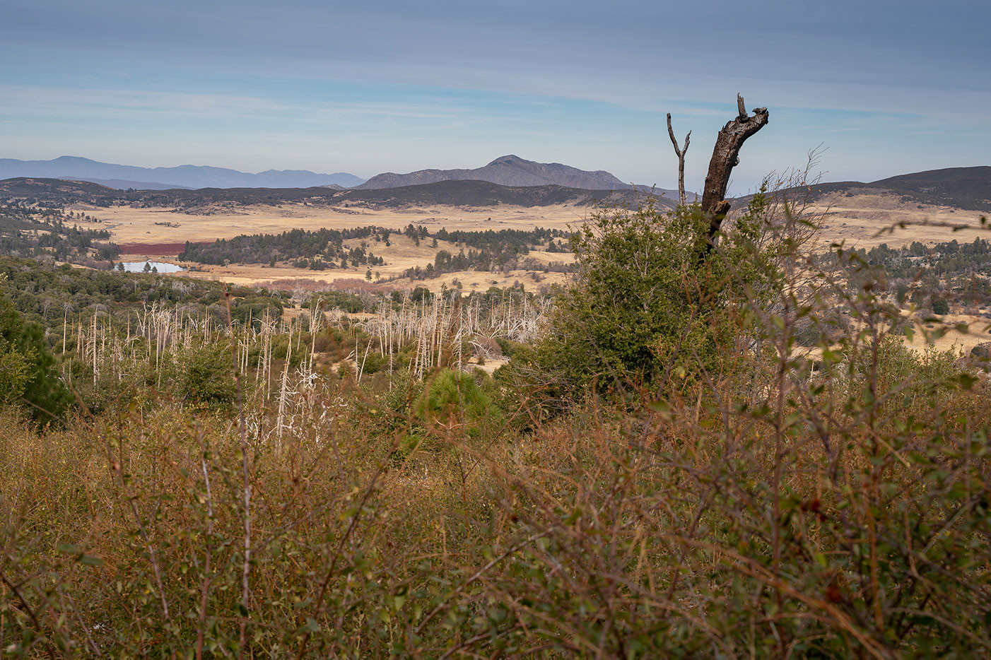 cuyamaca-peak-hike-1.jpg
