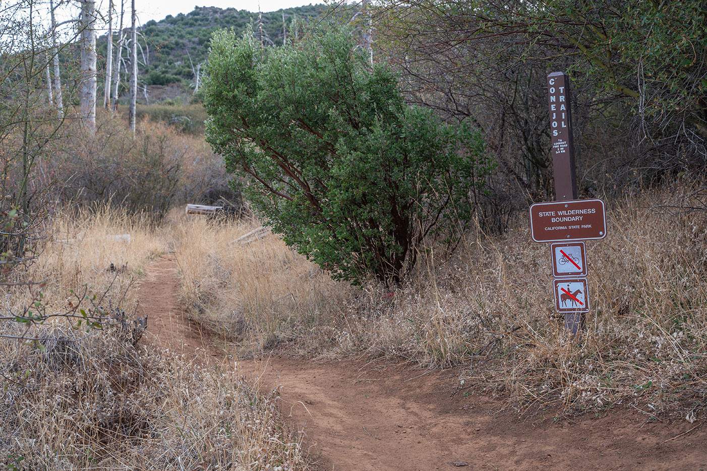 conejos-trail.jpg