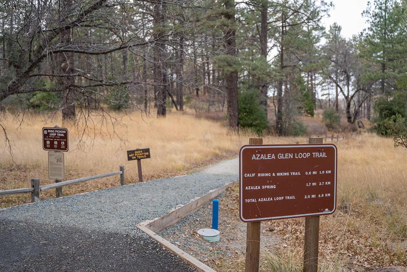 azalea-glen-loop-trailhead.jpg