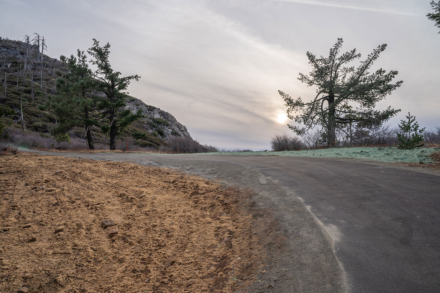cuyamaca-peak-road-1.jpg