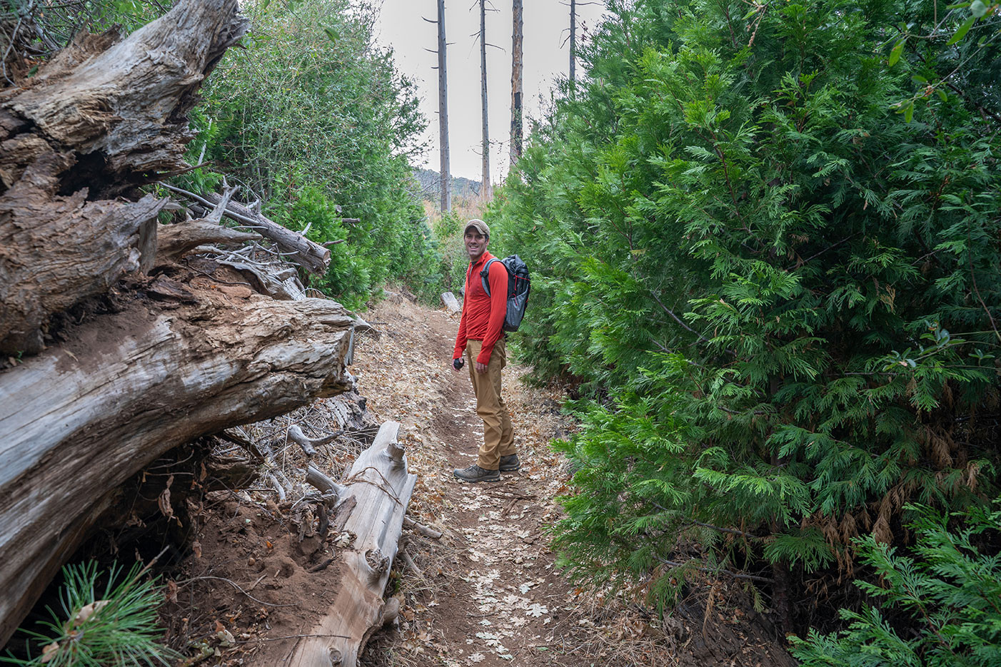 azalea-glen-loop-trail-1.jpg