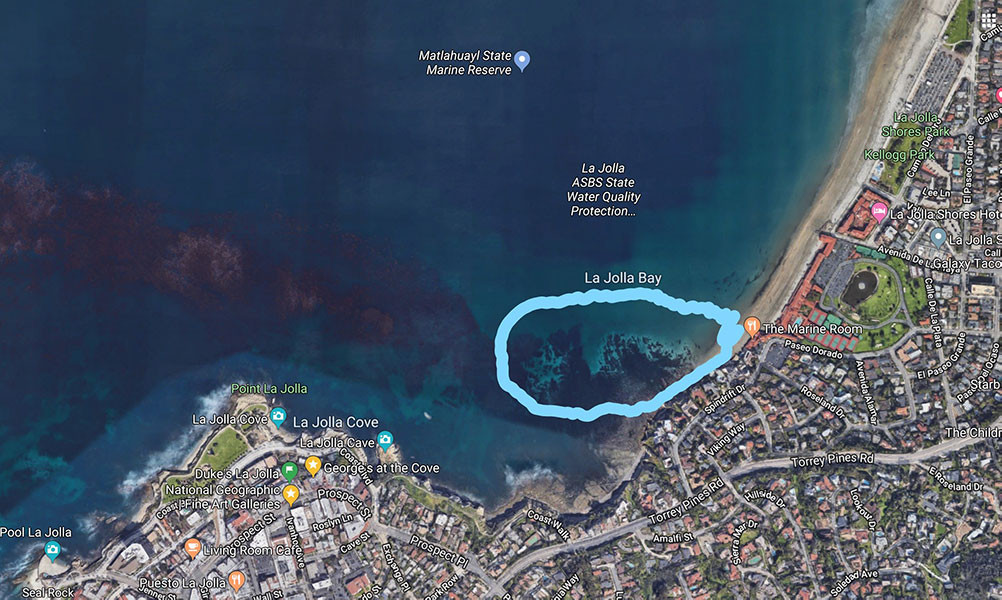 turtle-town-la-jolla-map.jpeg