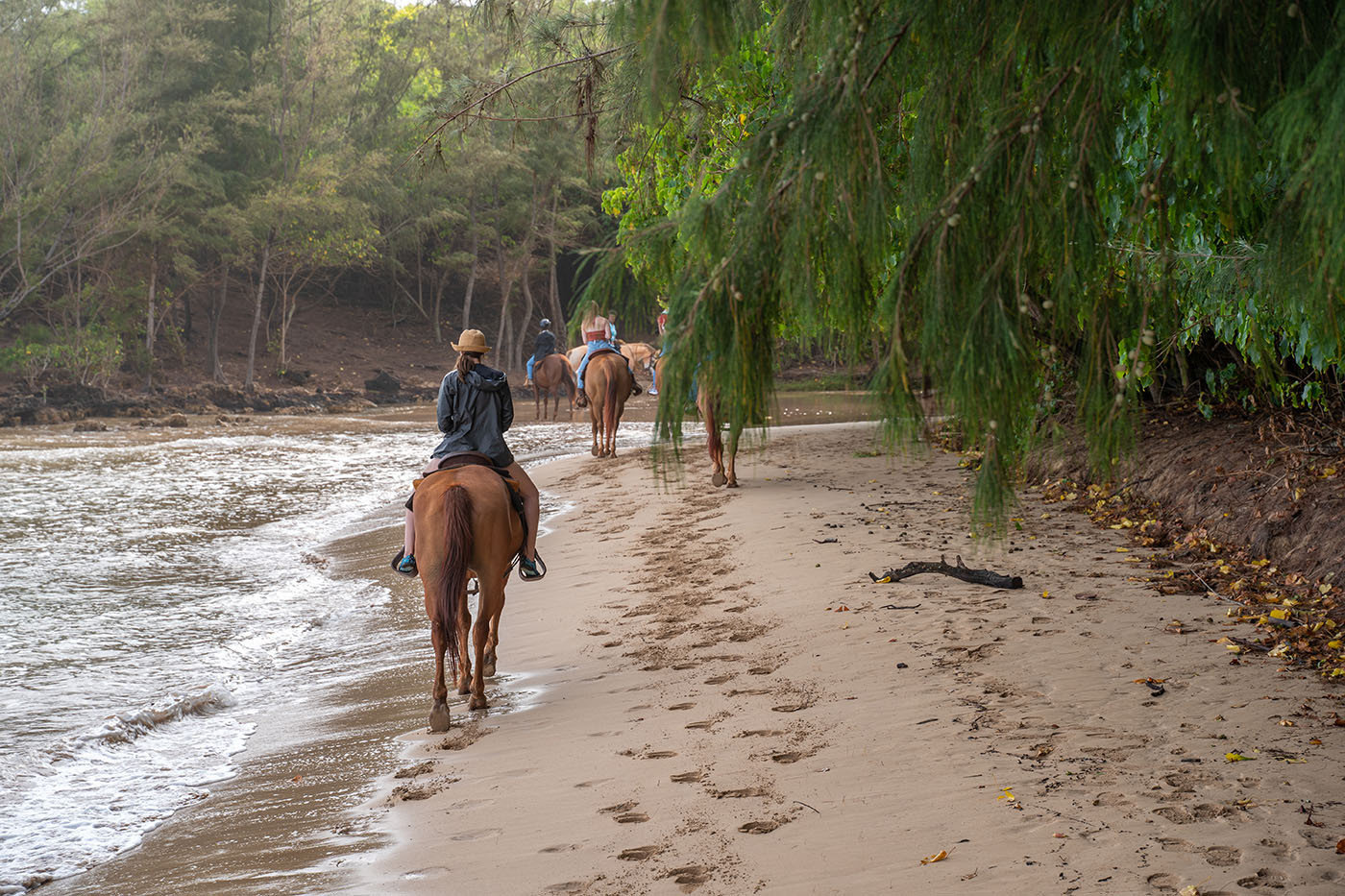 horseback-riding-on-kauai-beaches.jpg Group riding horses along the waterline on a quiet Kauai beach