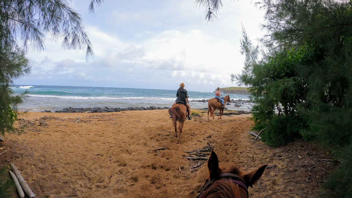 cjm-country-stables-beach-horseback-riding.jpg Trail riders arriving at the sandy beach beside the Pacific