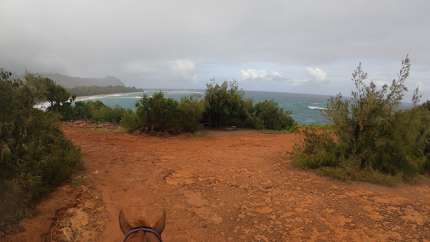 kauai-horesback-riding-beach.jpg Horseback view of the trail descending toward the Kauai coast
