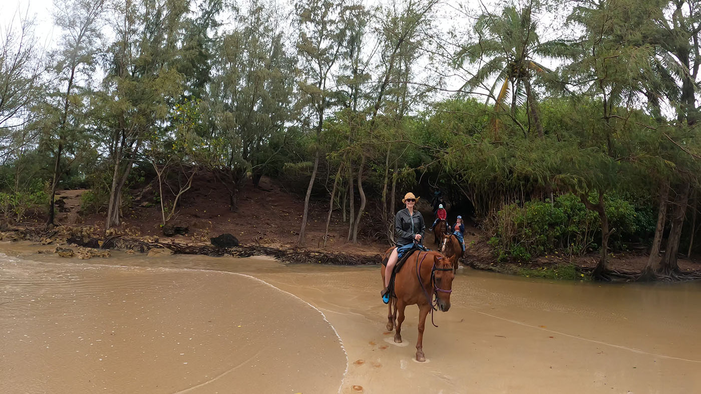 waiopili-stream-horseback-riding.jpg Riders emerging from the trees into shallow Waiopili Stream