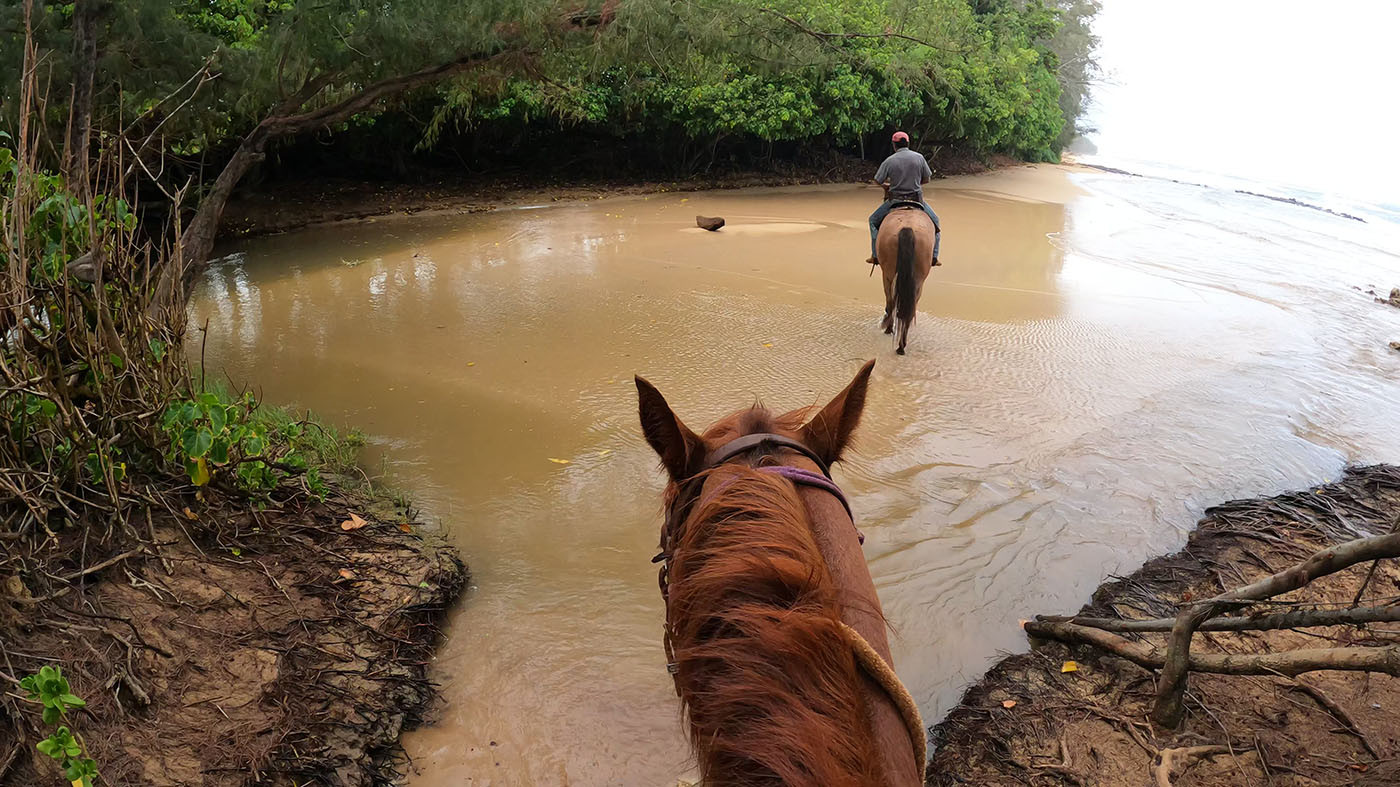 horesback-riding-beach.jpg Trail horses crossing Waiopili Stream where it meets the beach