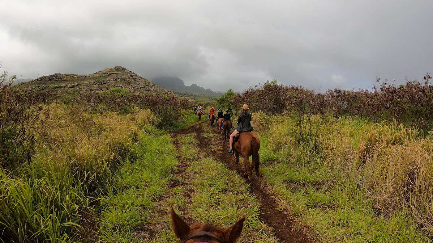 kauai-horseback-riding-grass.jpg Line of riders crossing a grassy trail beneath cloud-covered hills