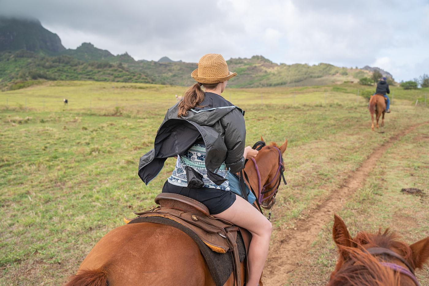 horseback-riding-kauai-cattle.jpg Riders following a narrow track through open pasture on Kauai