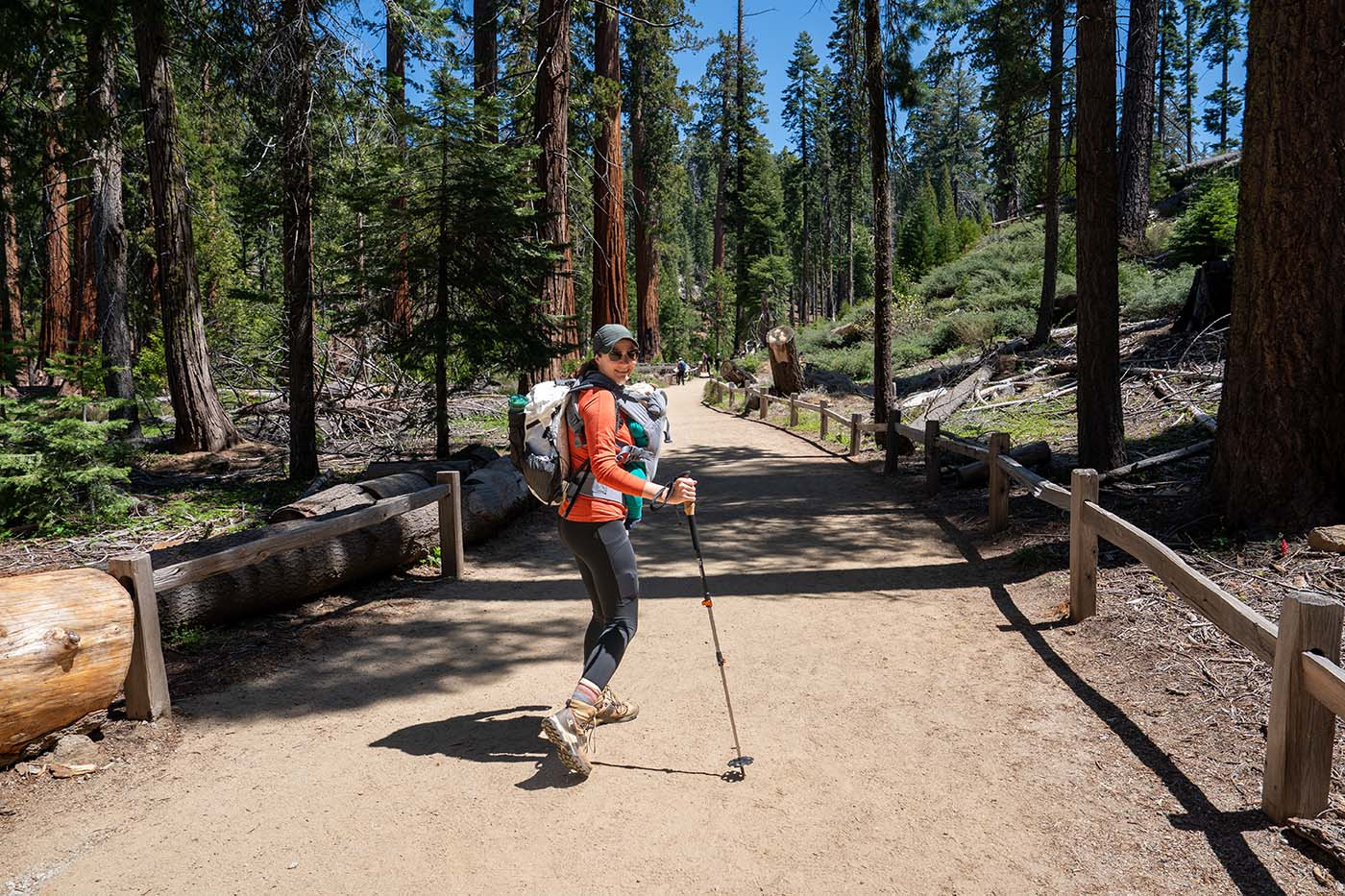 Mariposa Grove Yosemite National Park Trail Guide