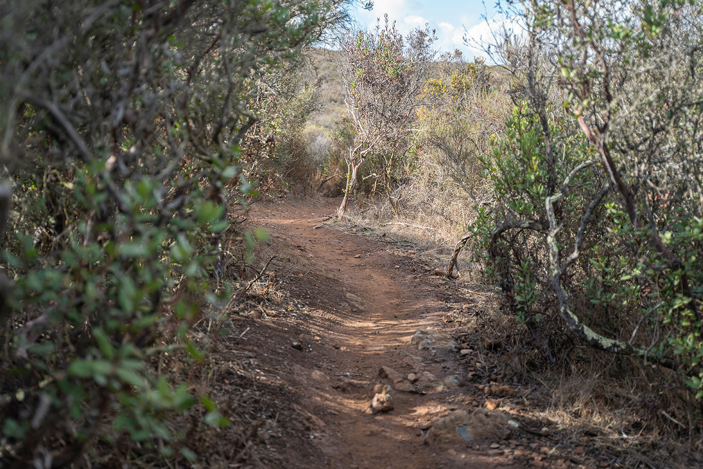 miners-ridge-loop.jpg