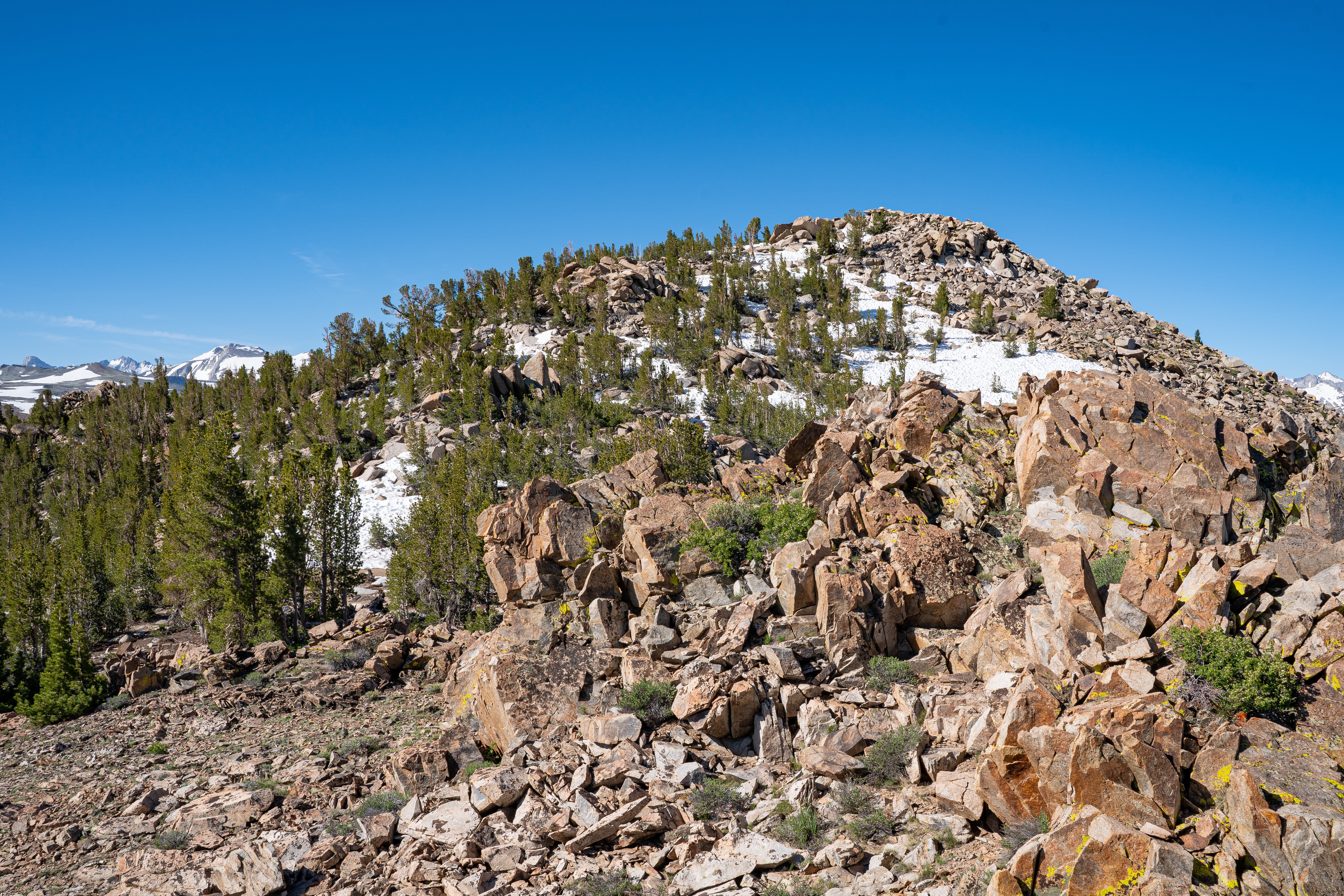 mcj07784.jpeg Rocky summit ridge with patches of snow and scattered pines
