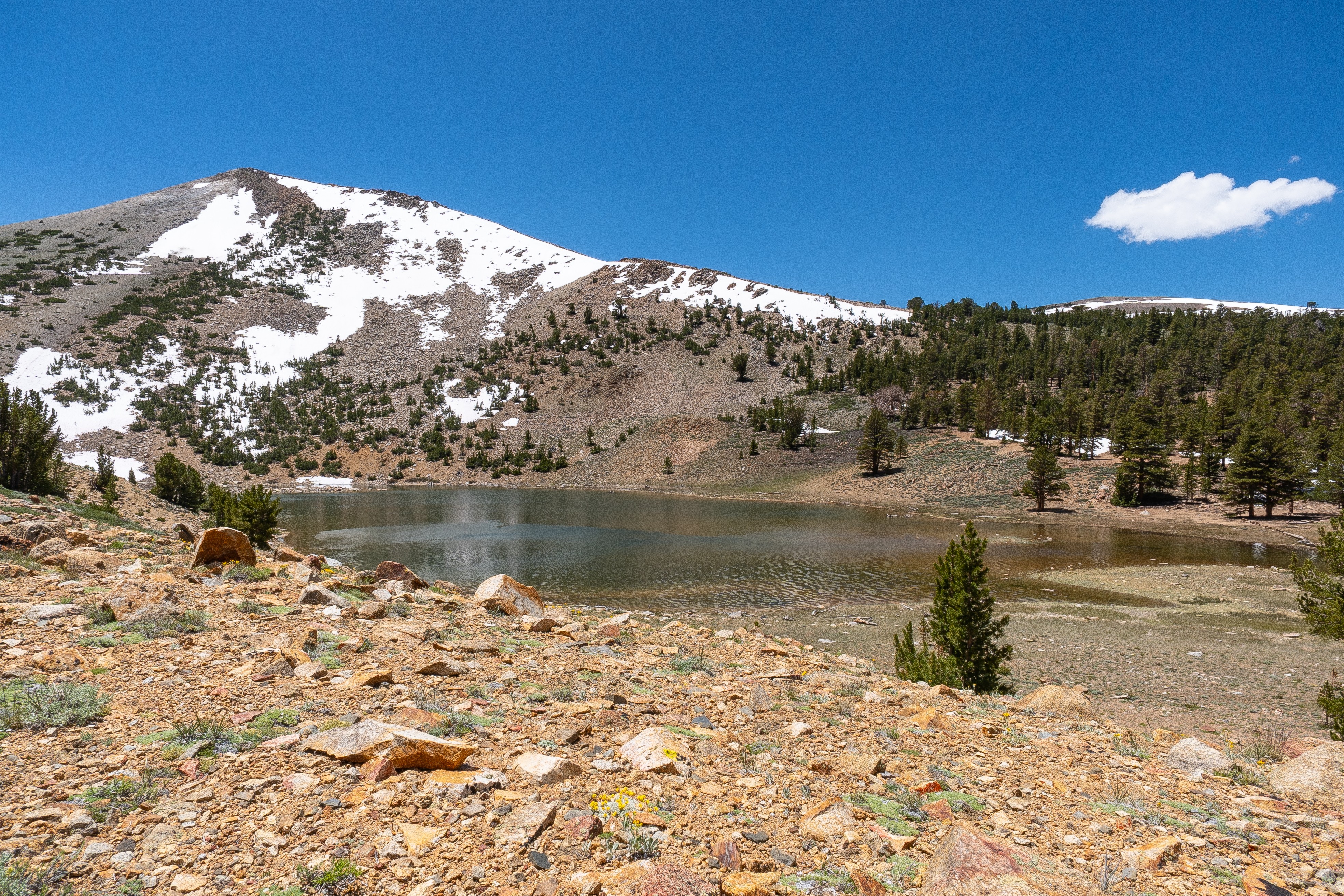 mcj07839.jpeg Coyote Lake beneath a rocky mountain streaked with lingering snow