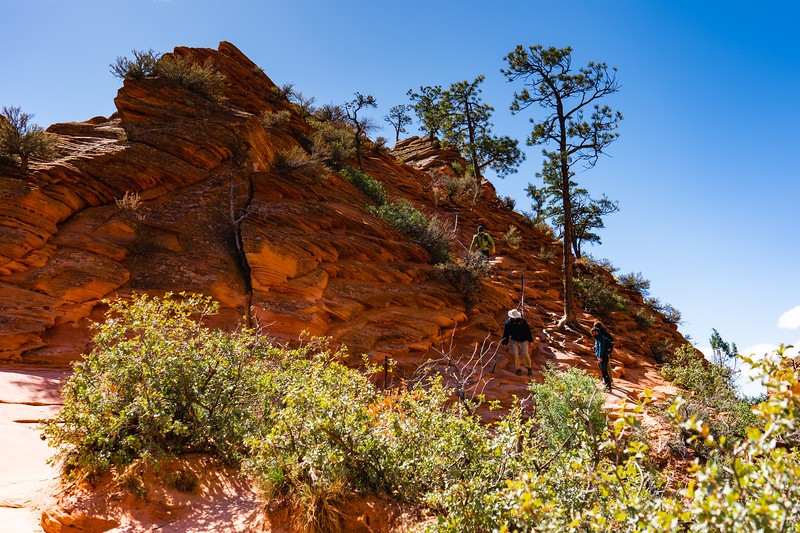 angels-landing-3.jpeg