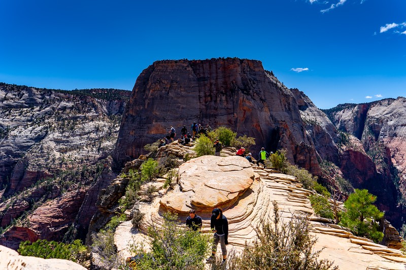 angels-landing-8.jpeg