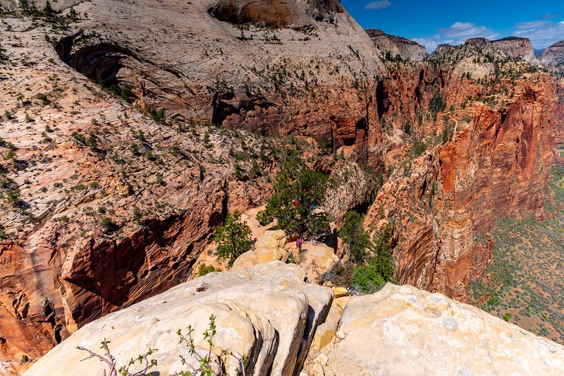 angels-landing-9.jpeg
