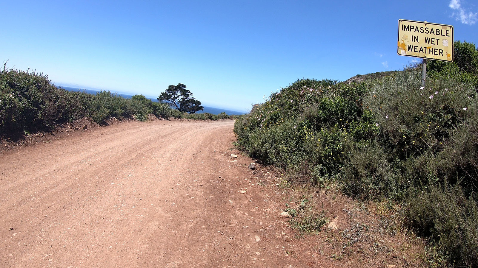 will-creek-road-trailhhead.jpeg